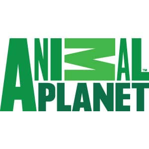 Restyling logo Animal Planet