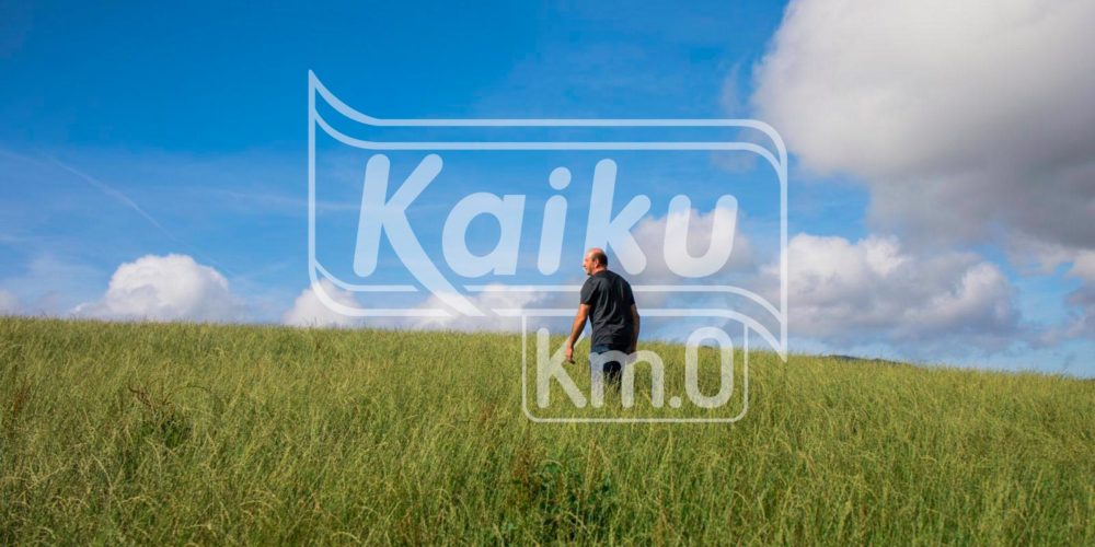 Nueva imagen Kaiku Km0